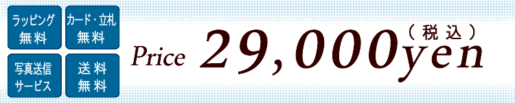 �Ӓ����@24500�~