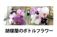 �~�f�B�Ӓ���mini��