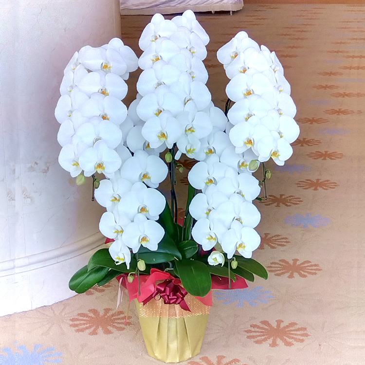 �Ӓ���