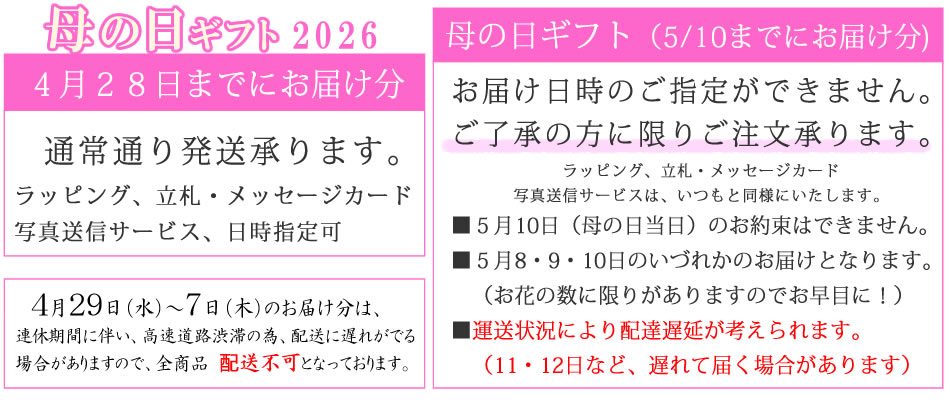 ��̓��M�t�g